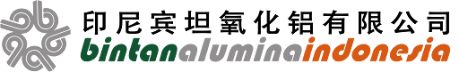 PT Bintan Alumina Indonesia